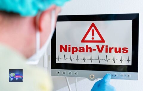 Nipah Virus