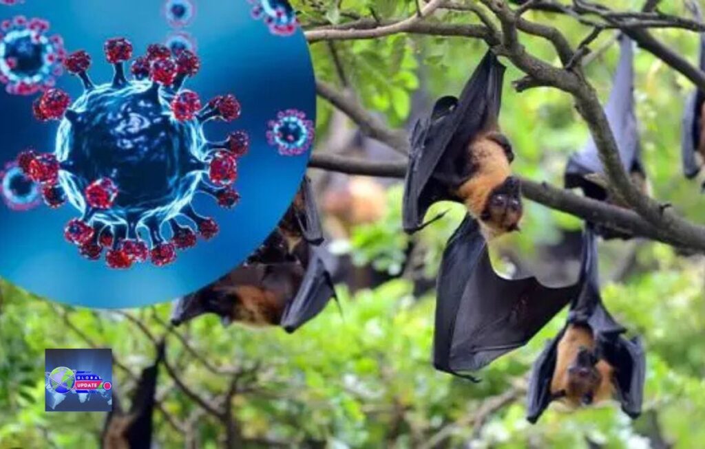 What is the Nipah virus?