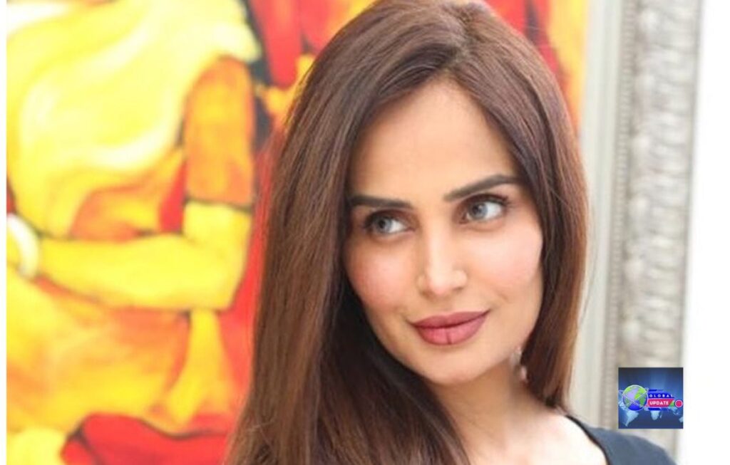 Mehreen Syed Net Worth