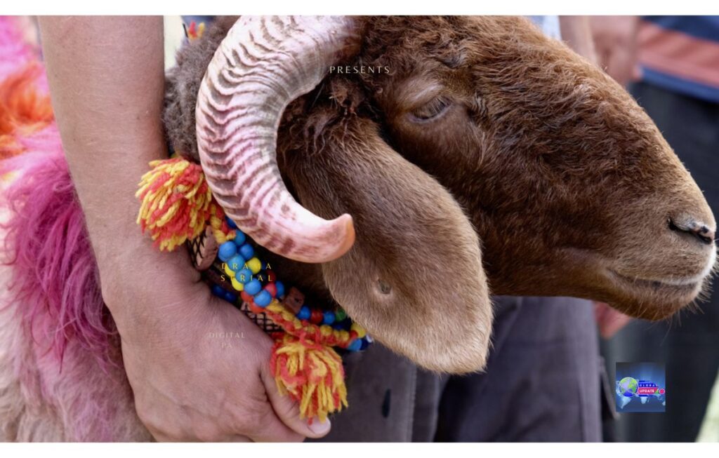 Religious Significance of Eid ul Adha