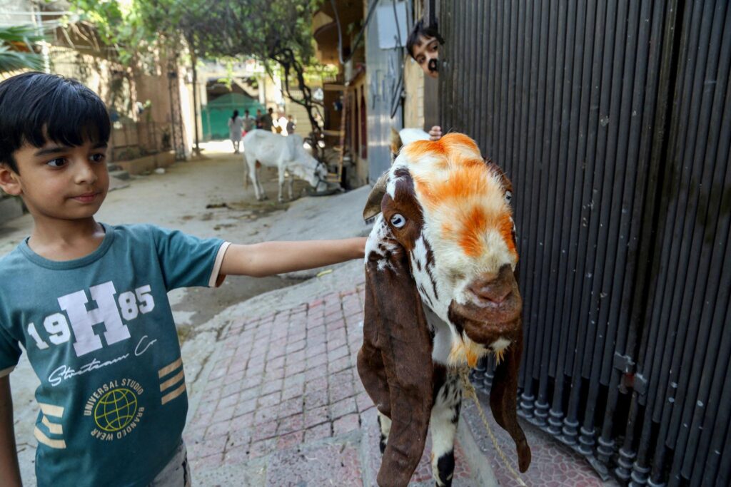 Eid Ul Adha 2026 in Lahore
