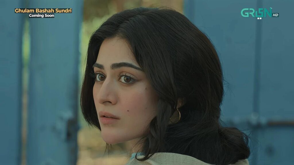 Pakistani actress, 2026 Hina Afridi